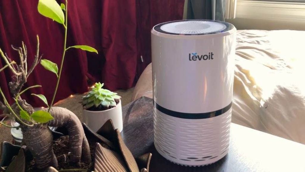 Do I Need An Air Purifier In Every Room? An Informational Guide For