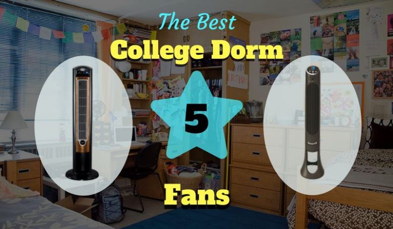 The Best Fans