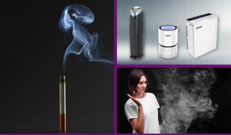 Best air purifiers for smoke under $100 featured image