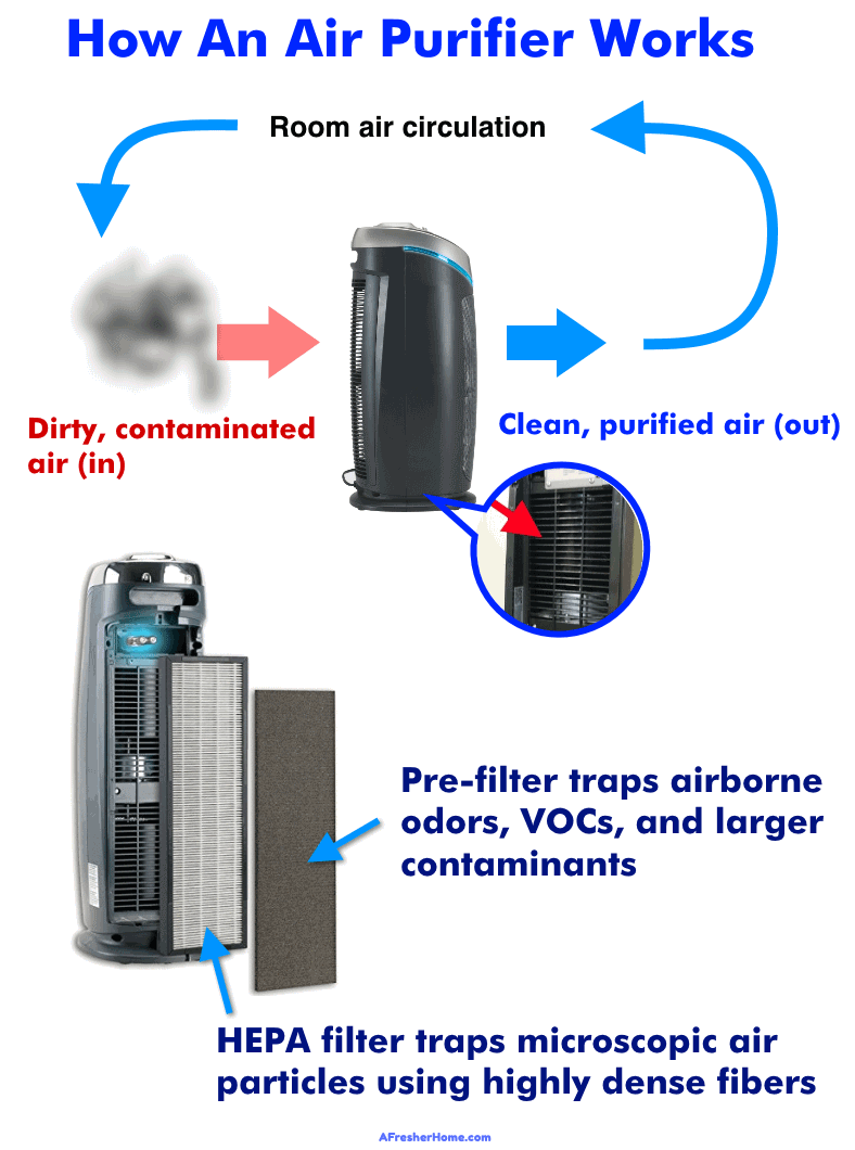 diagram of how an air purifier works