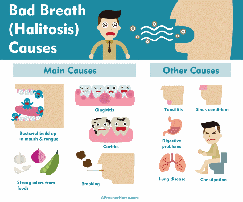 Bad breath causes infographic