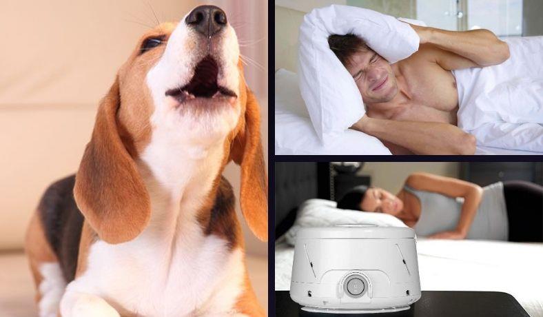 Best white noise machines for dog barking featured image