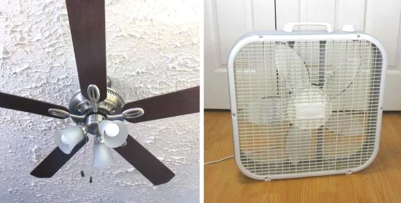 Ceiling fan vs box fan comparison image