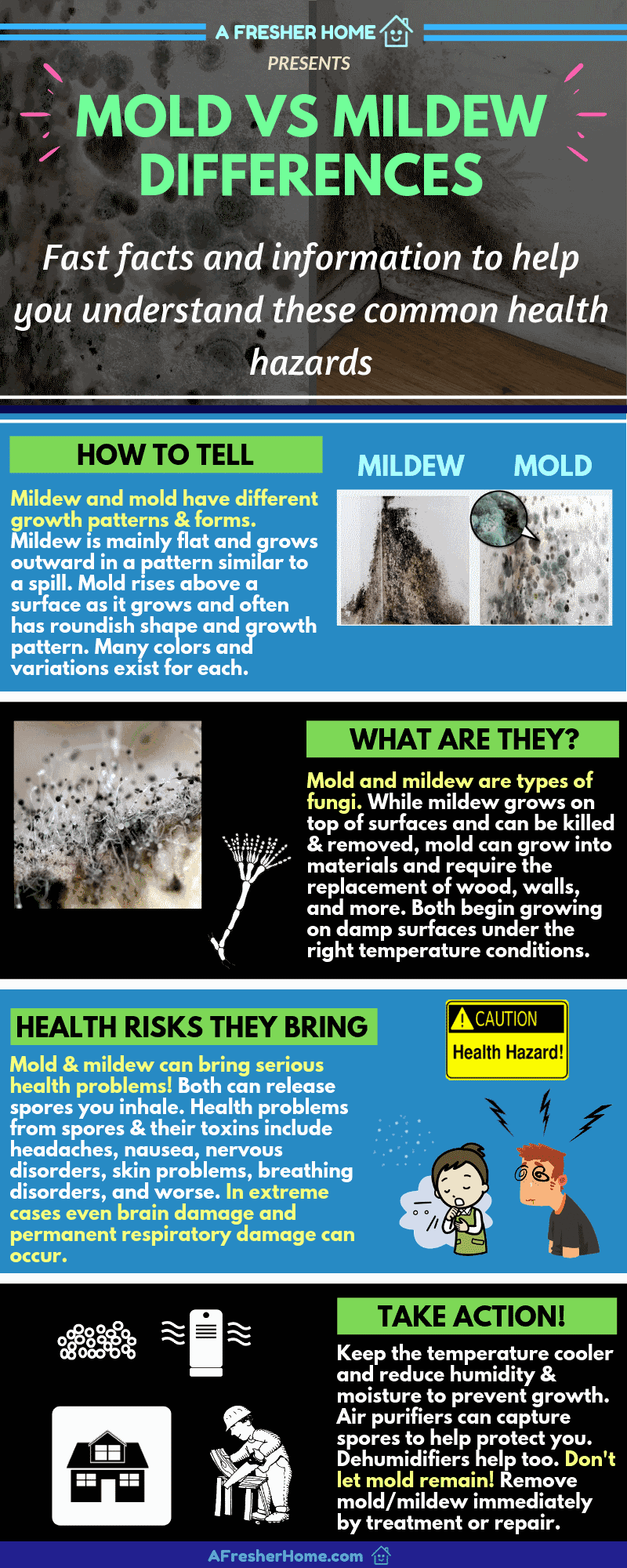 Mold vs mildew difference facts infographic guide