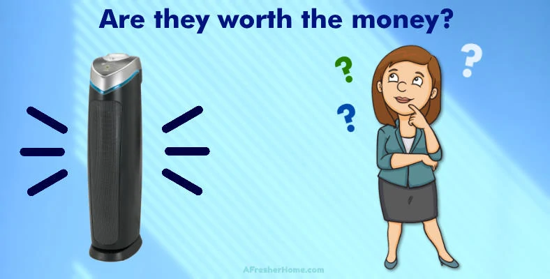 are air purifiers worth the money section image