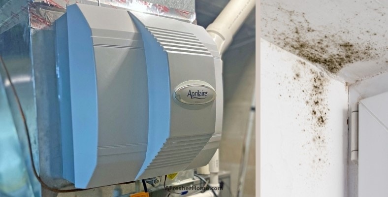 can whole house humidifiers cause mold