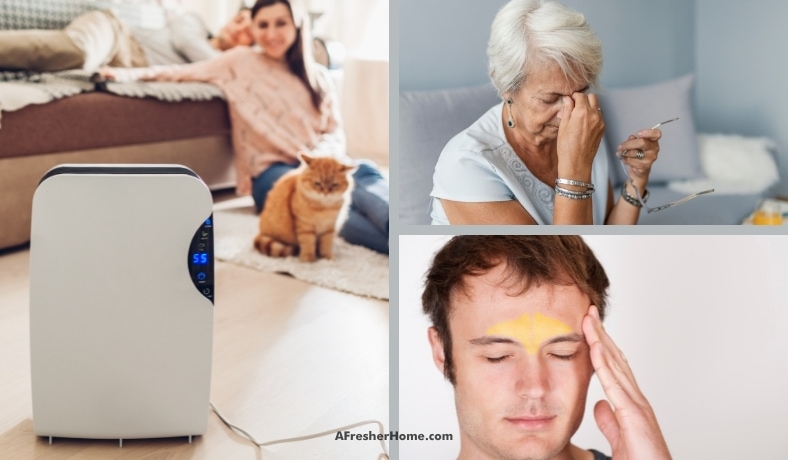 do air purifiers dry out sinuses featured image