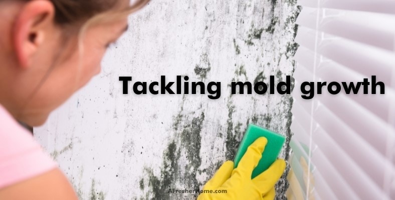 tackling mold growth