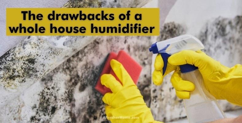 the drawbacks of a whole house humidifier