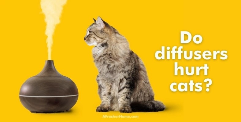 do diffusers hurt cats