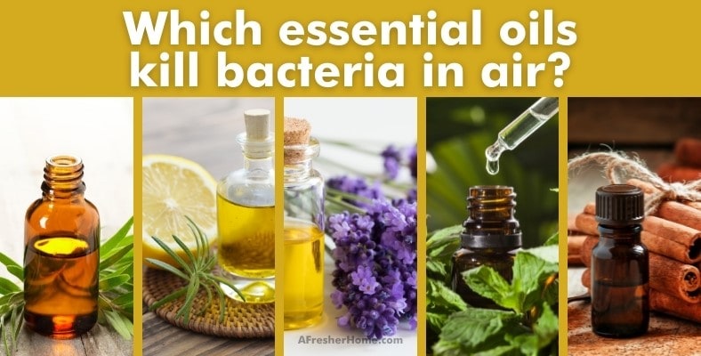 which essential oils kill bacteria in air